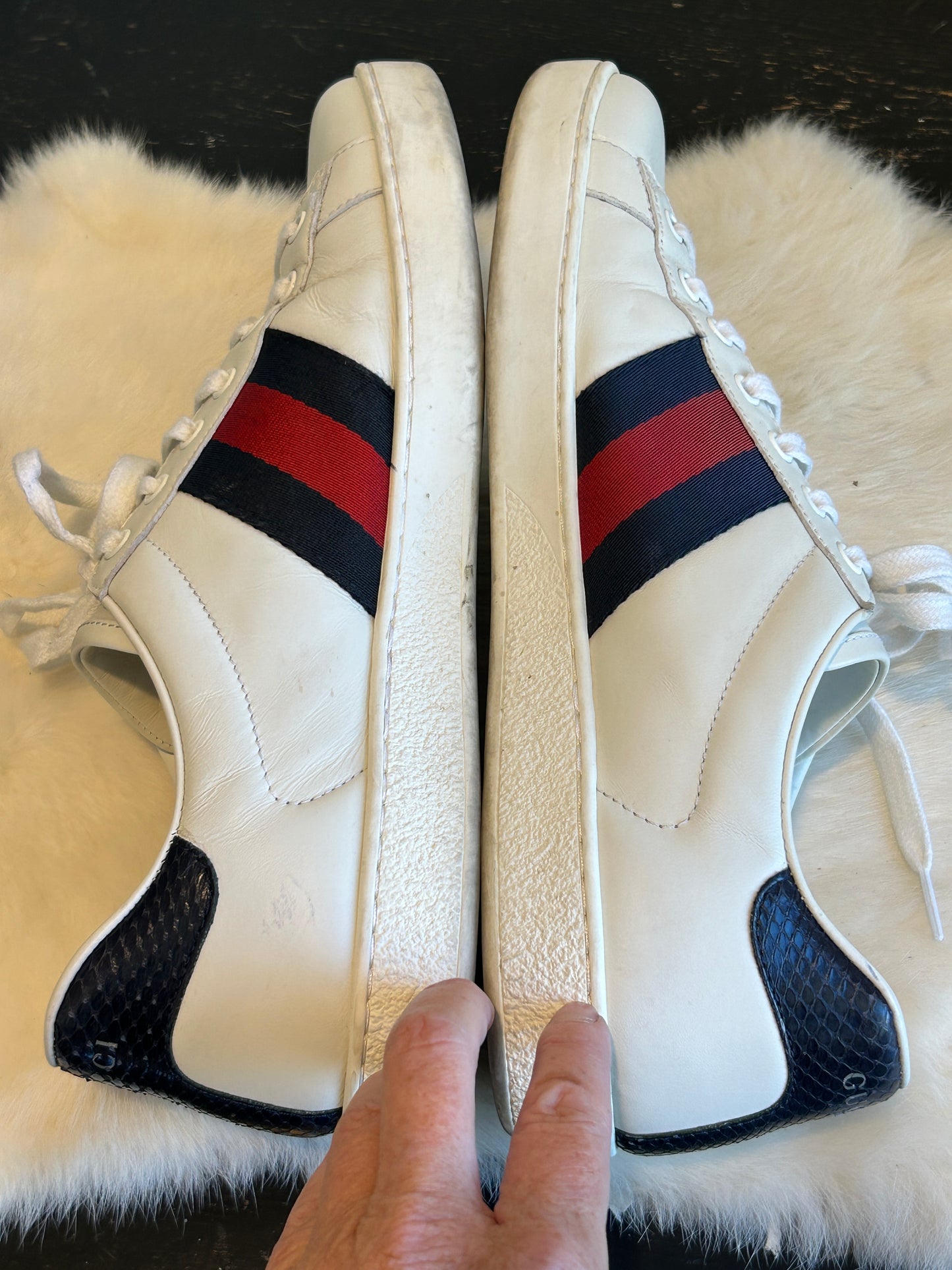 GUCCI Ace Web Navy/Red Sneakers Mens 8EU (41EU Womens)