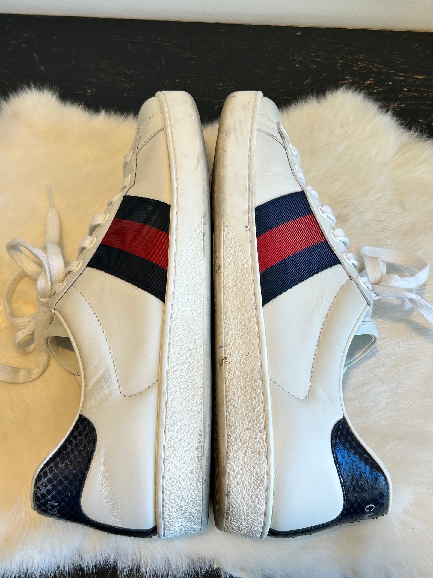 GUCCI Ace Web Navy/Red Sneakers Mens 8EU (41EU Womens)