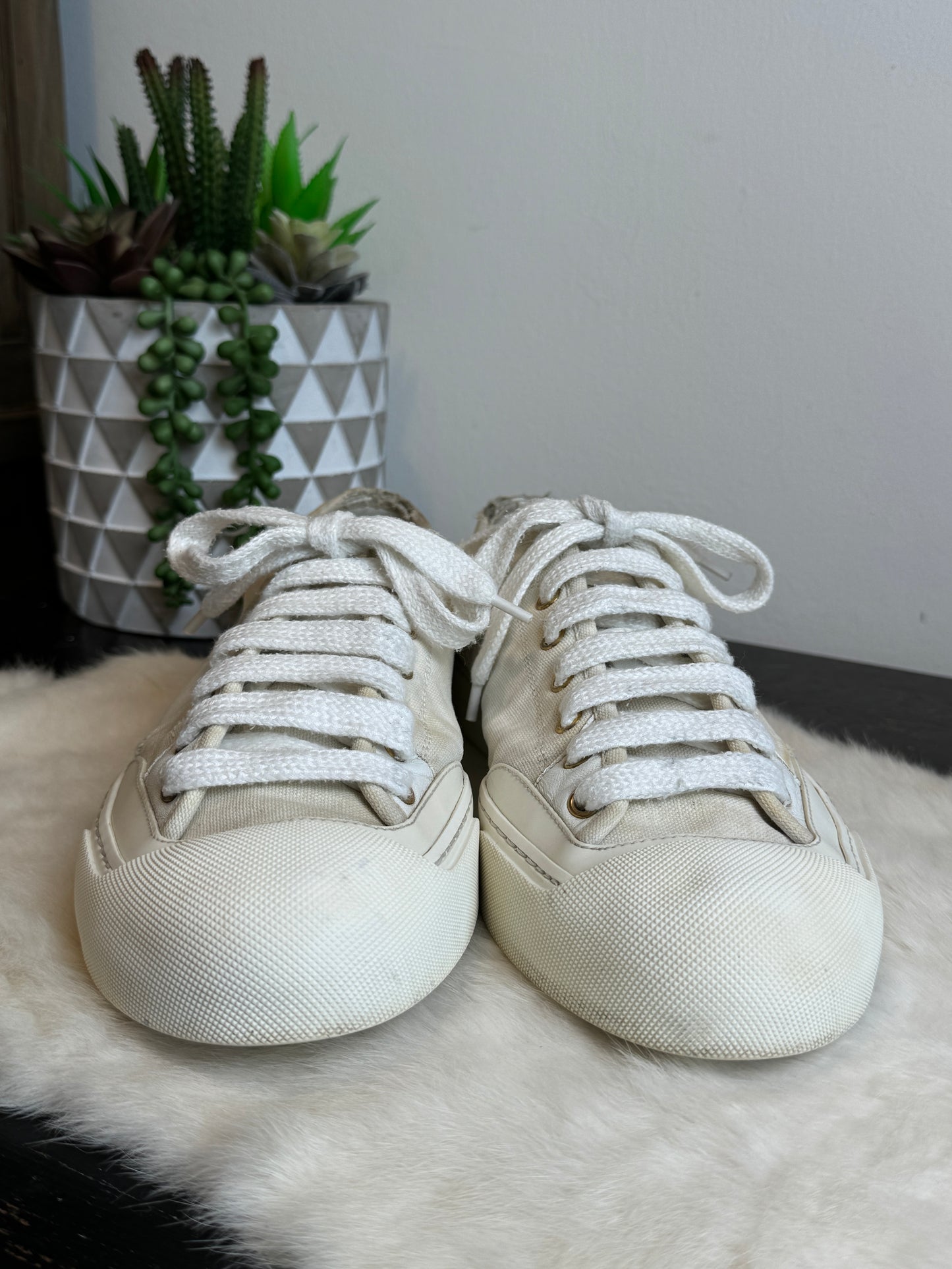 GUCCI Off White Canvas Sneakers 9EU (42EU)