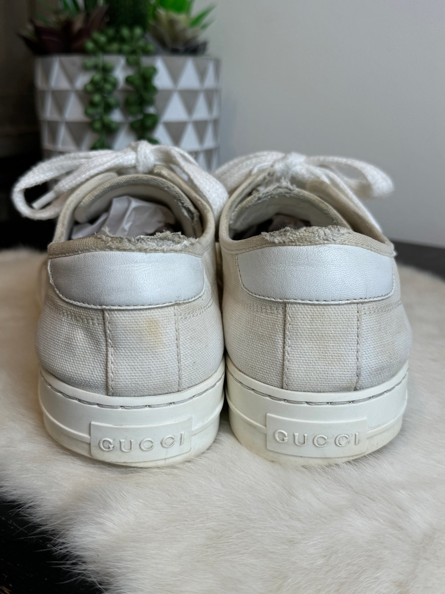 GUCCI Off White Canvas Sneakers 9EU (42EU)