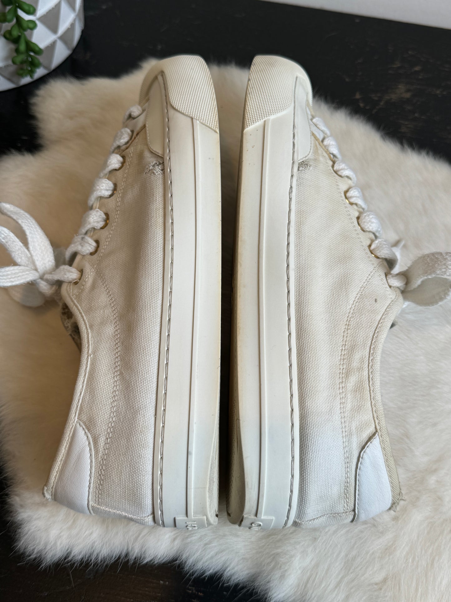 GUCCI Off White Canvas Sneakers 9EU (42EU)