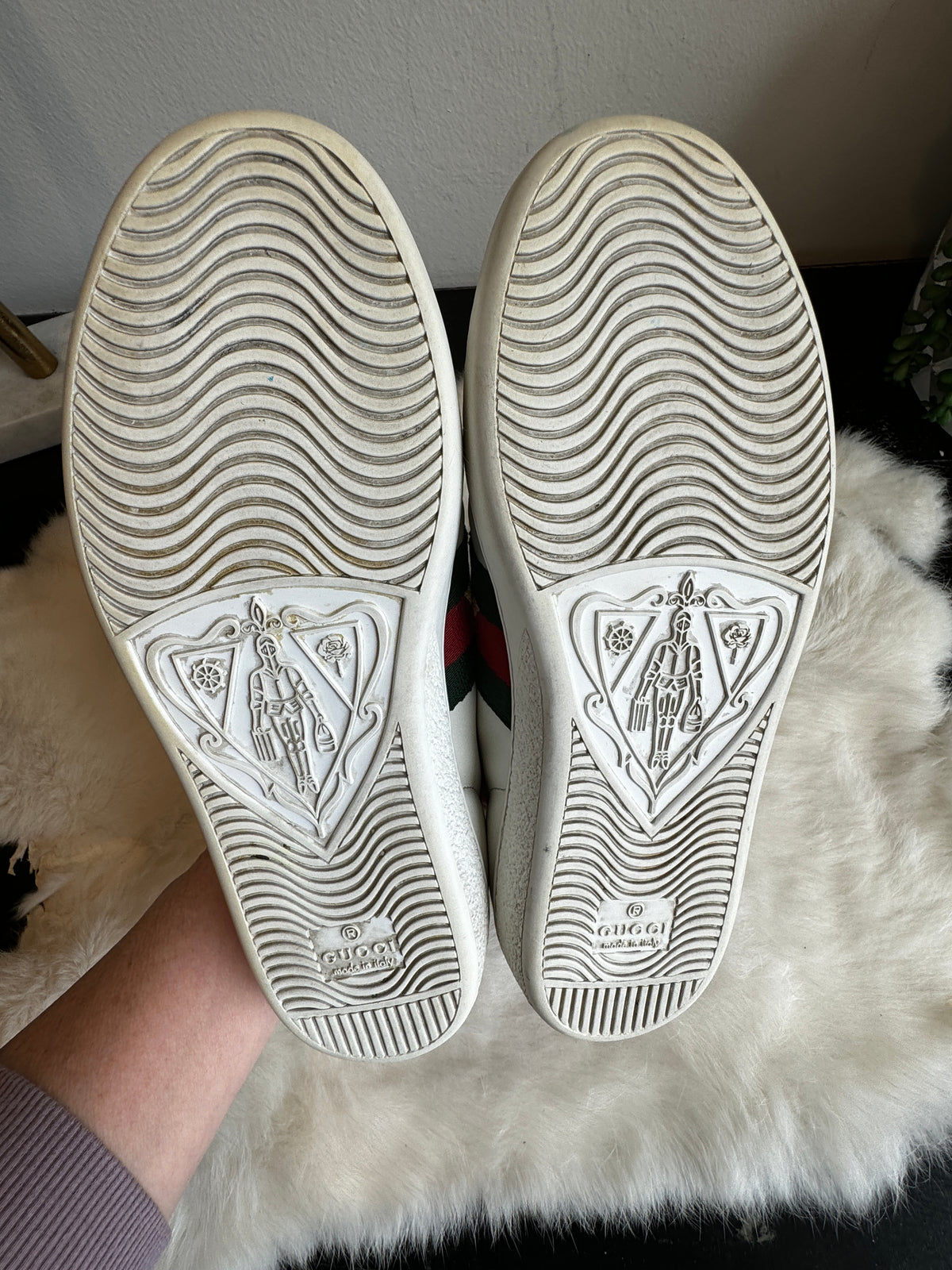 GUCCI Ace Pineapple Ladybug Women's Size 35EU