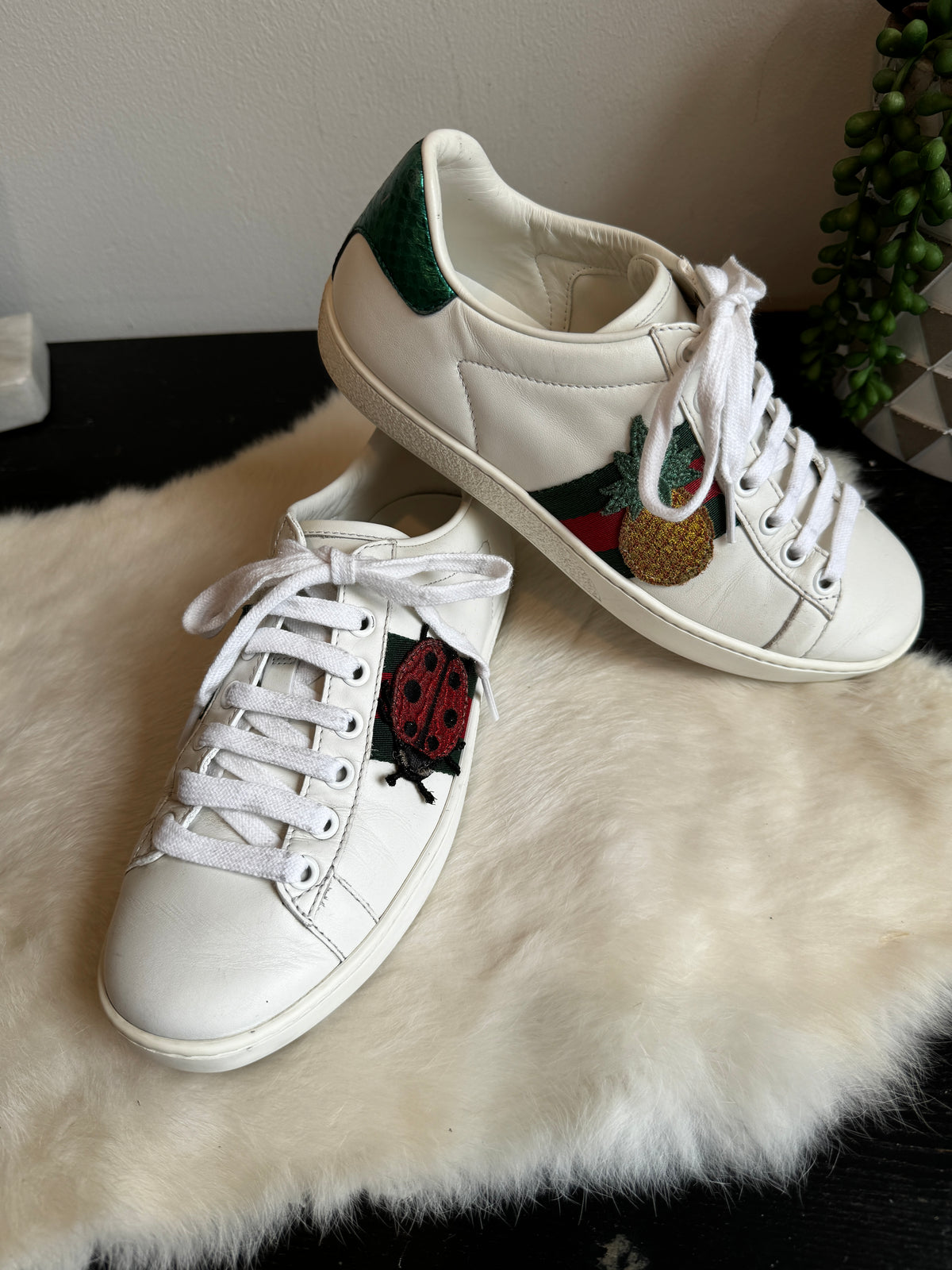 GUCCI Ace Pineapple Ladybug Women's Size 35EU