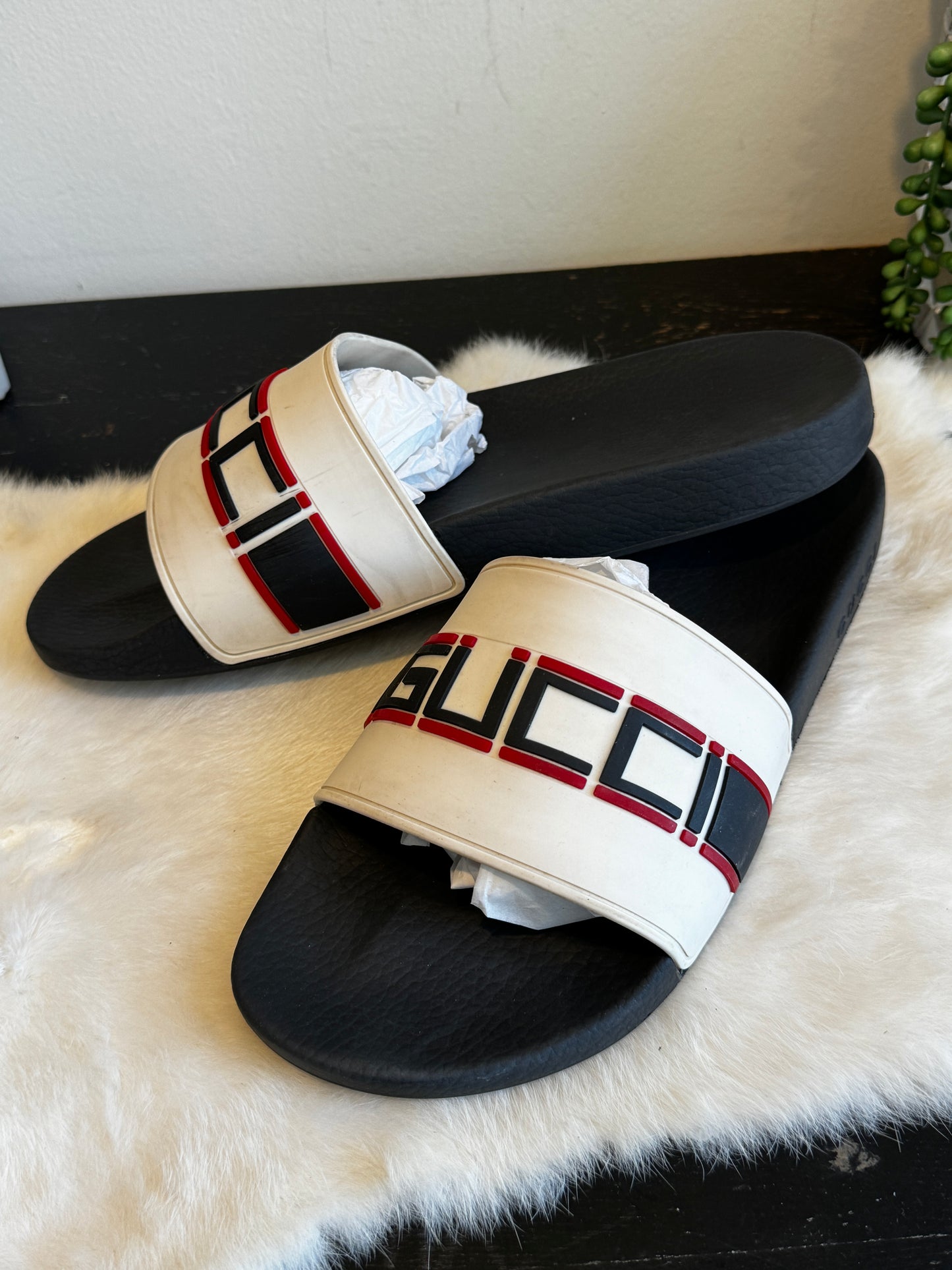 GUCCI Pursuit Logo White 12EU