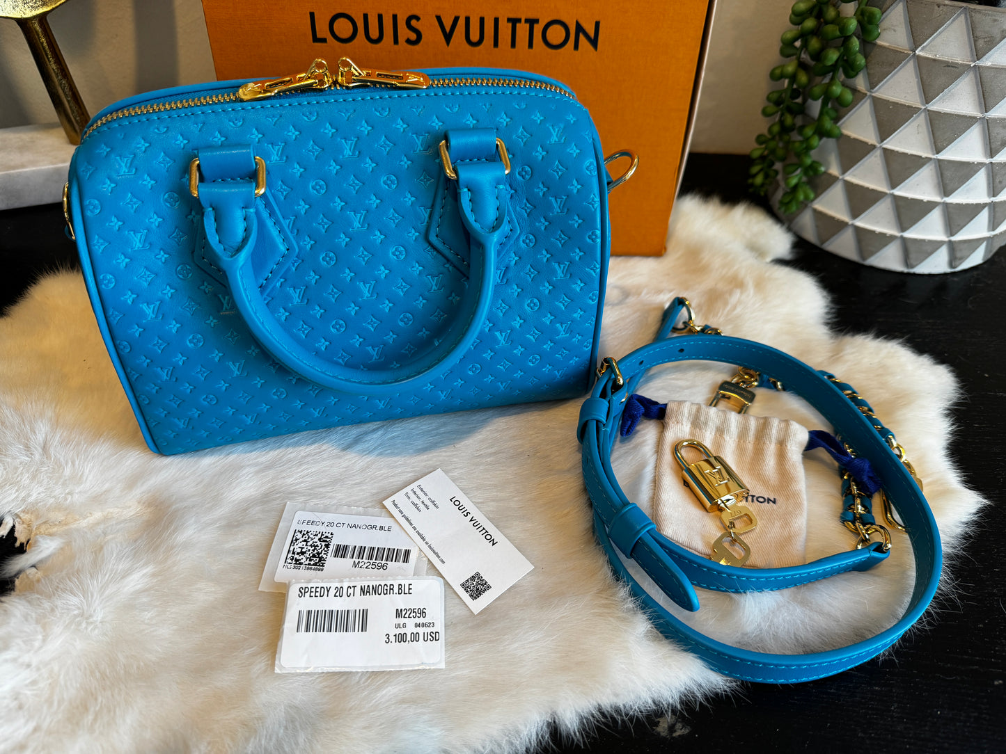 Louis Vuitton Nanogram Speedy 20B Bleu