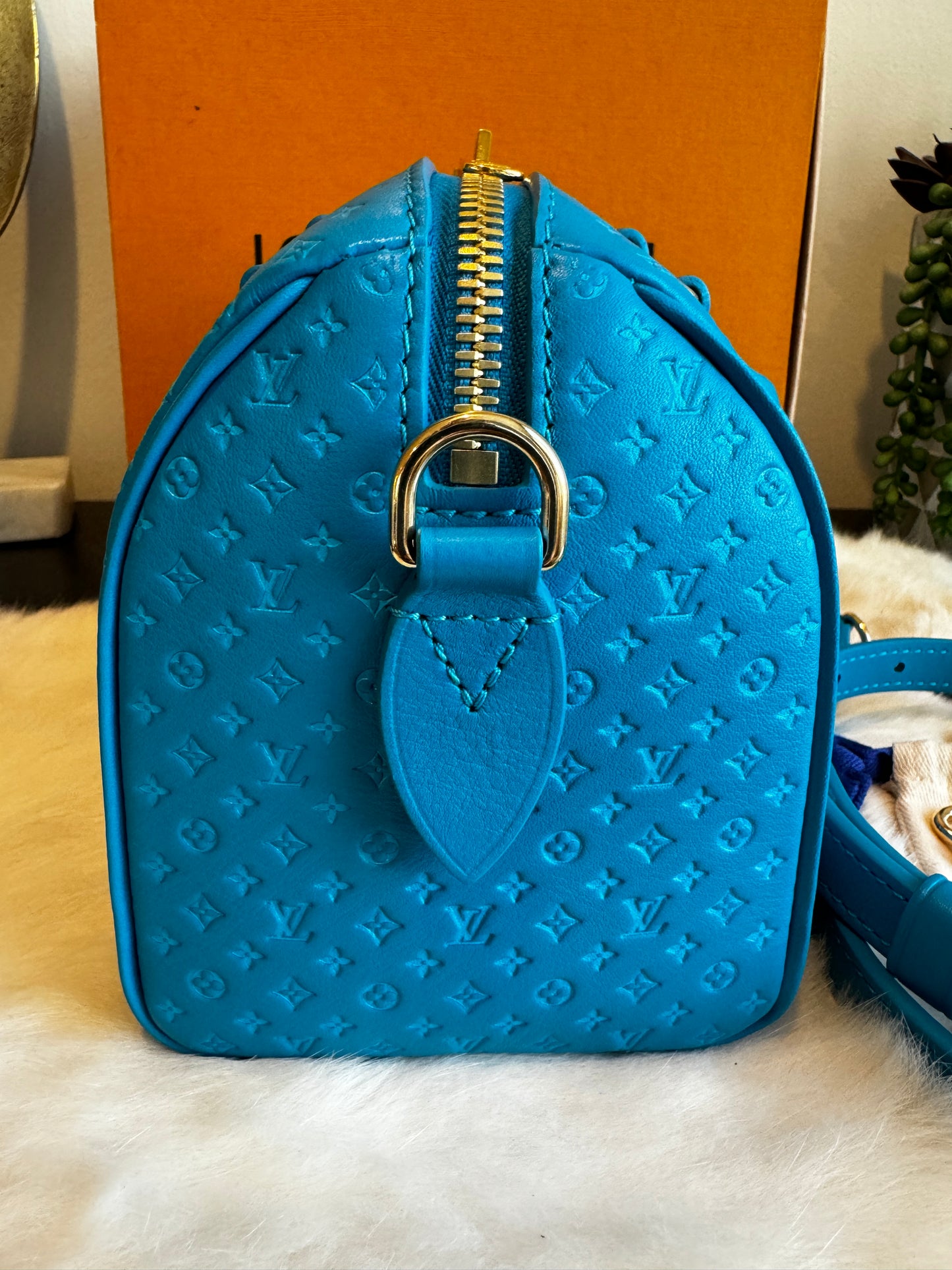 Louis Vuitton Nanogram Speedy 20B Bleu