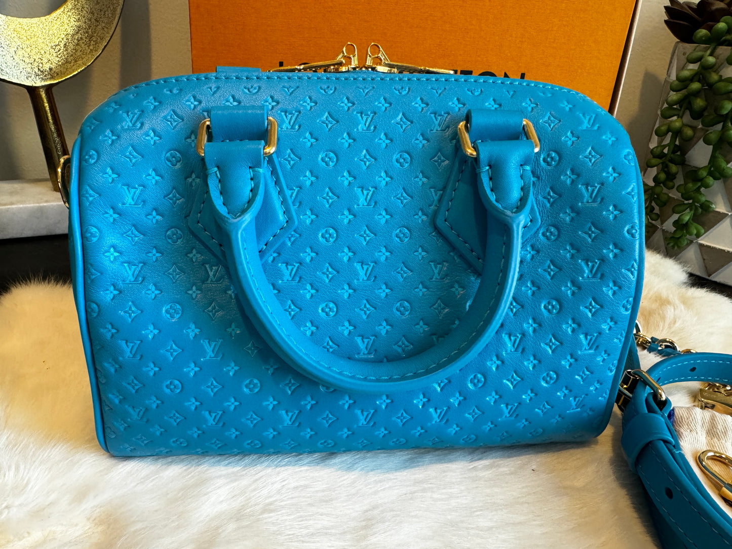 Louis Vuitton Nanogram Speedy 20B Bleu