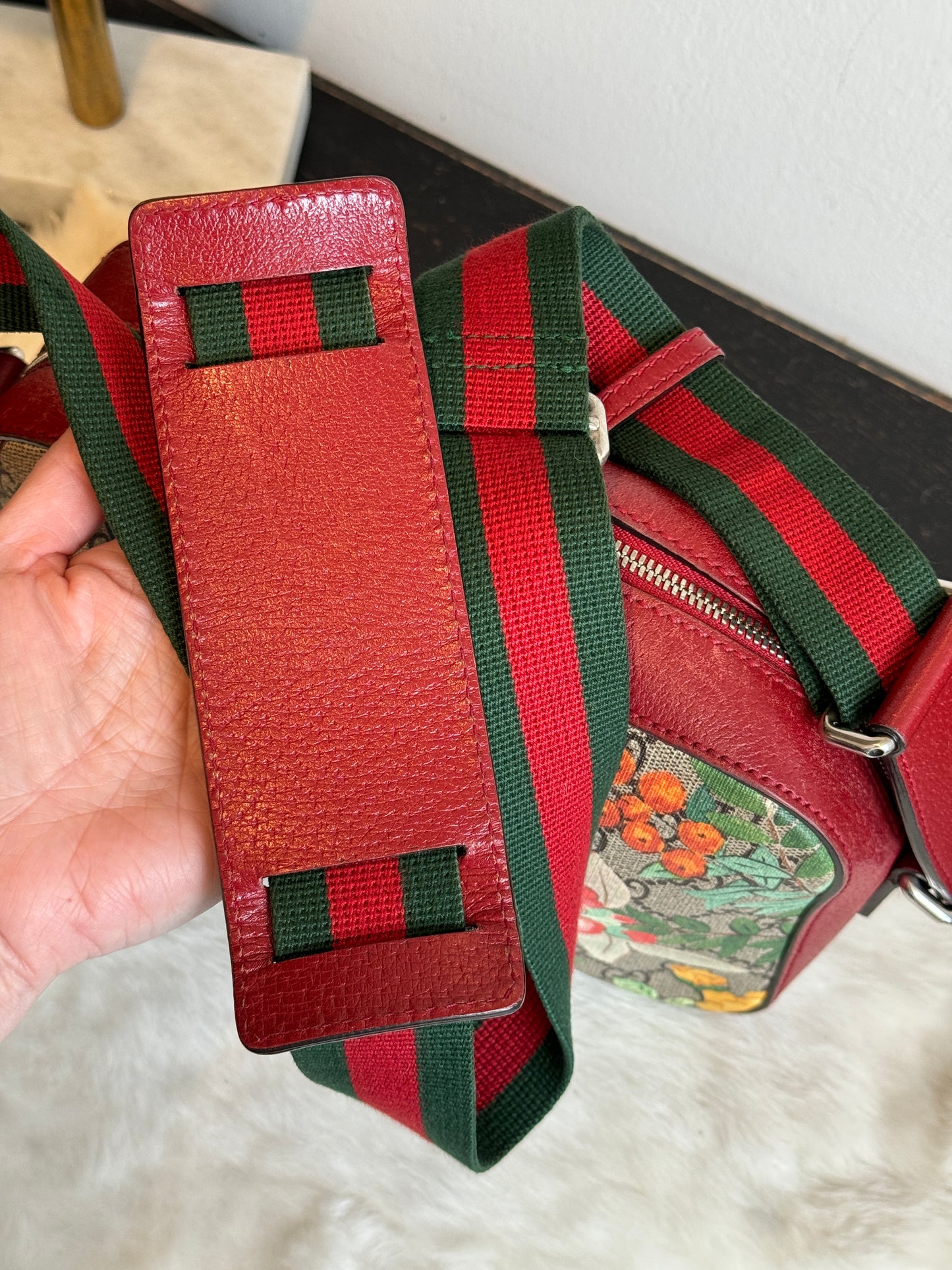 GUCCI Supreme Tian Camera Bag Multicolor Red