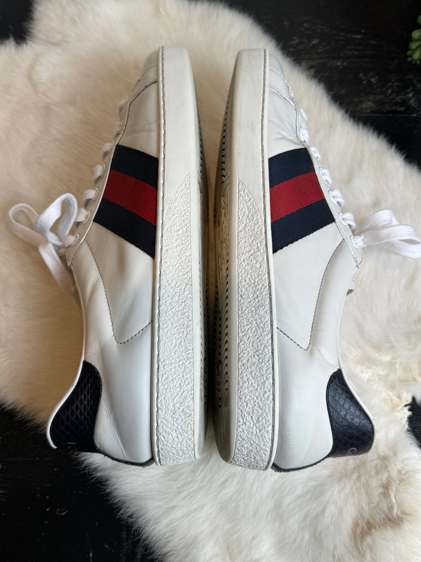 GUCCI Ace Basic WEB Navy/Red Sneakers Mens 7.5EU (40.5EU Womens)