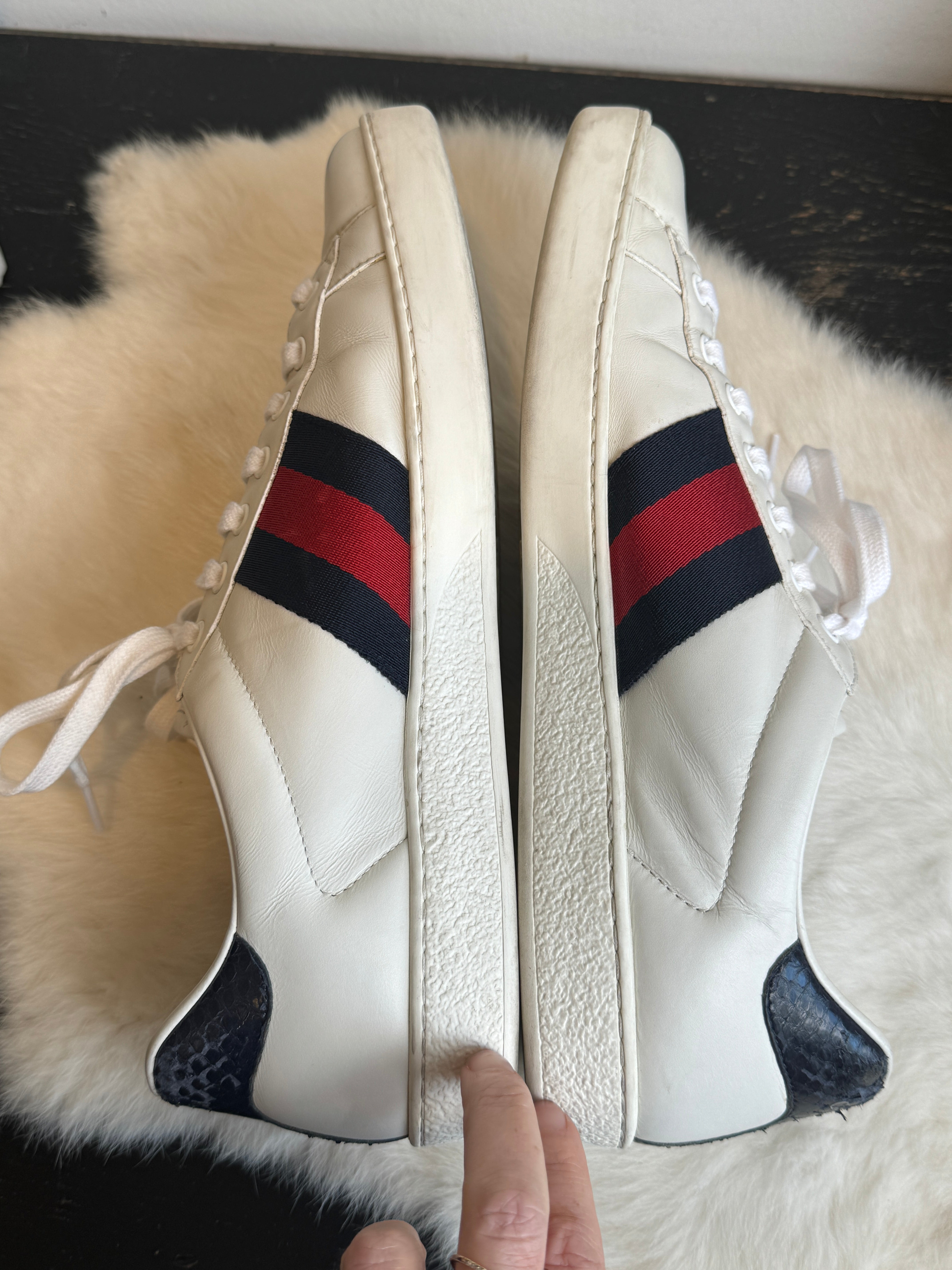 Gucci ace navy online