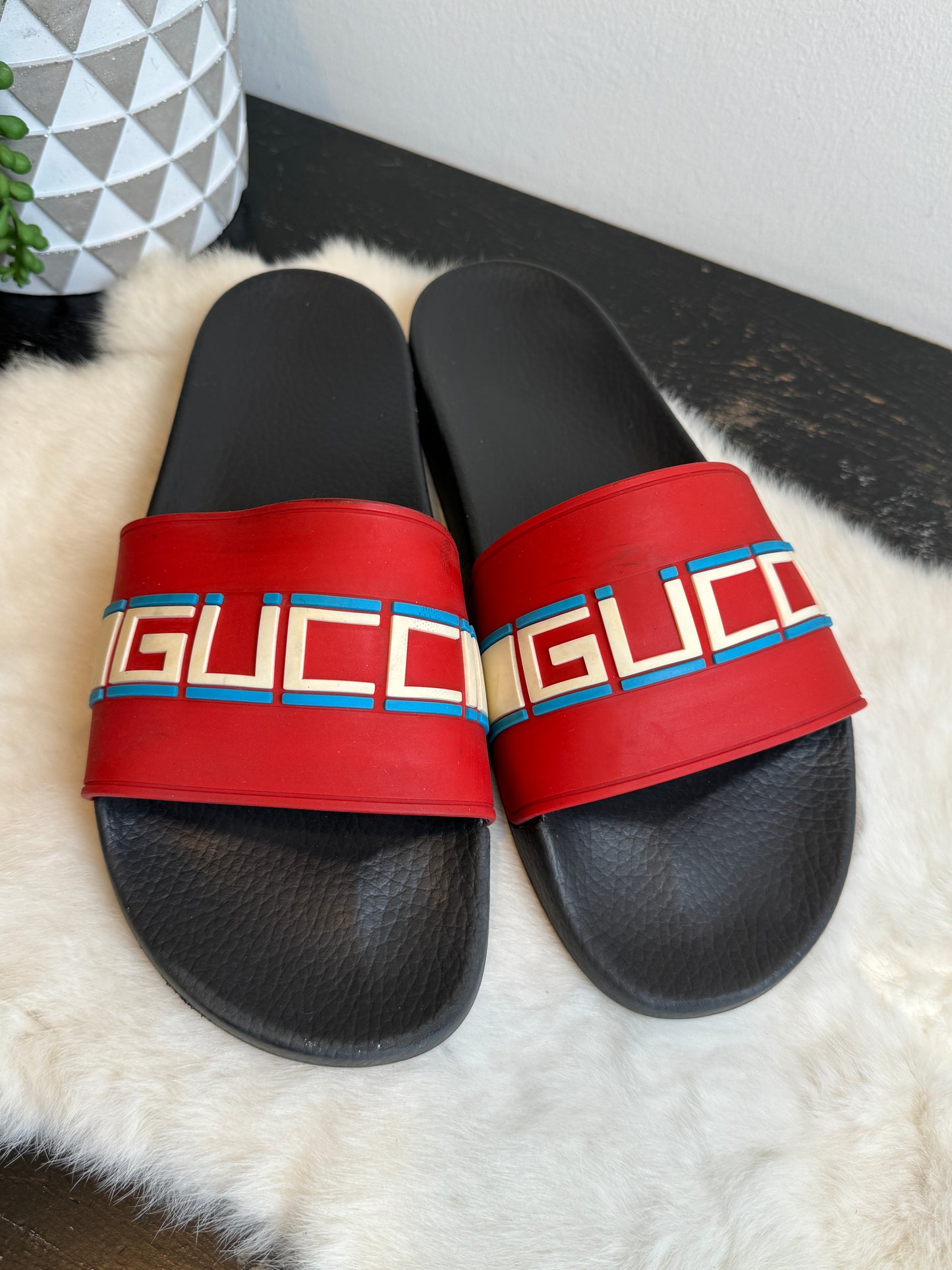 GUCCI Pursuit Logo RED 12EU