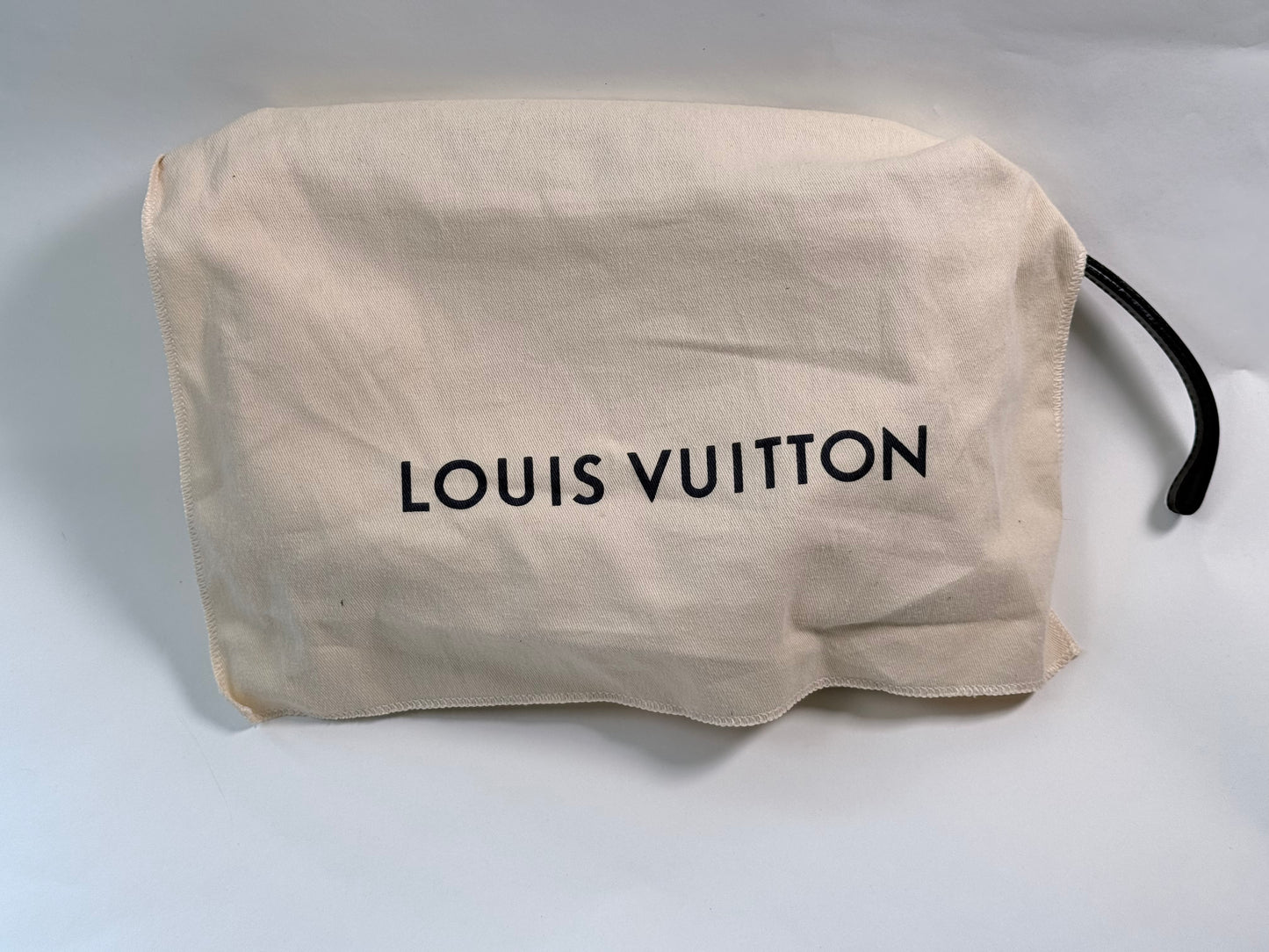 Louis Vuitton Epi Leather Pochette Sellier Dragonne Black Clutch
