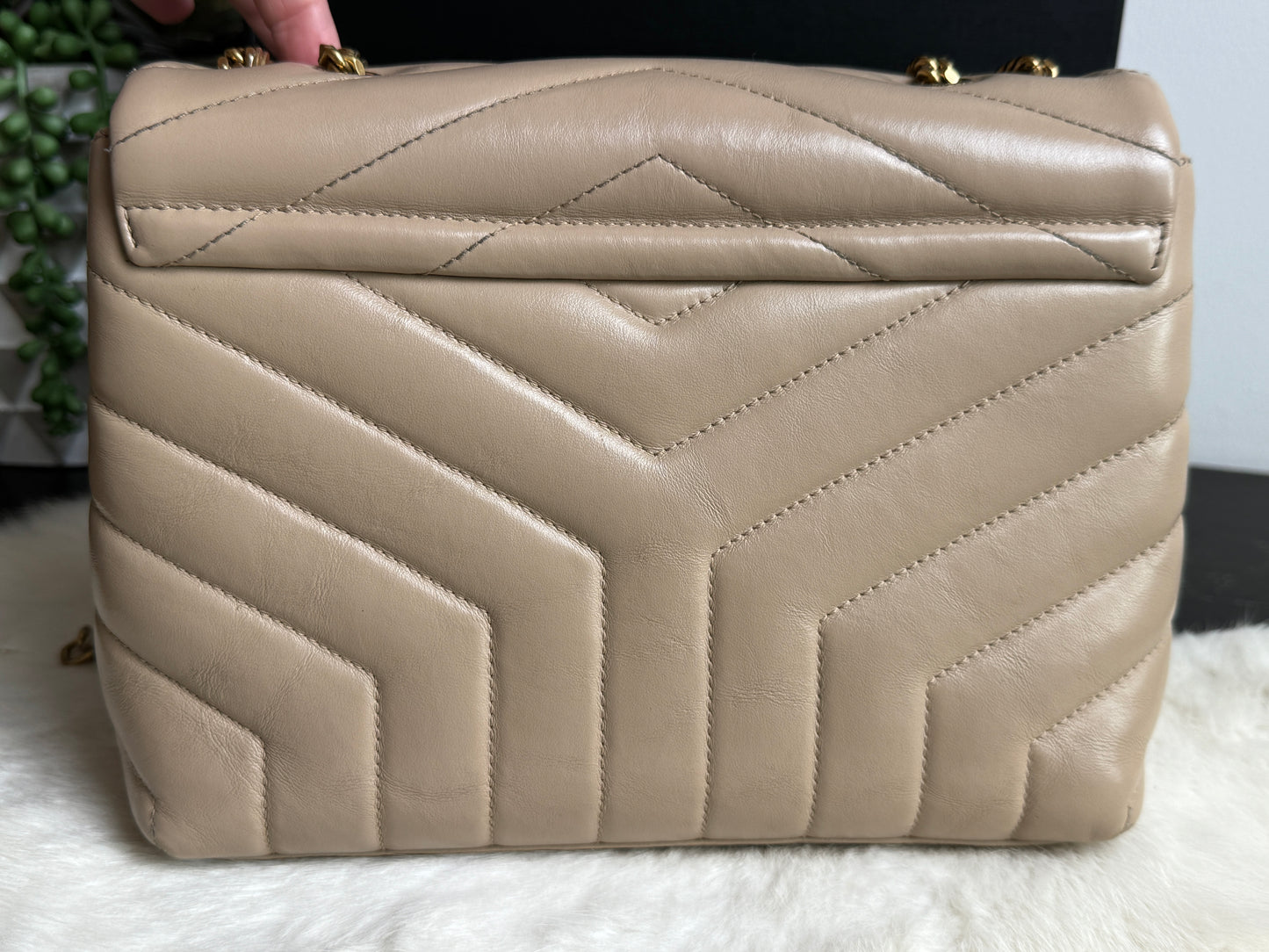 YSL Small LouLou Quilted “Y” Dark Beige