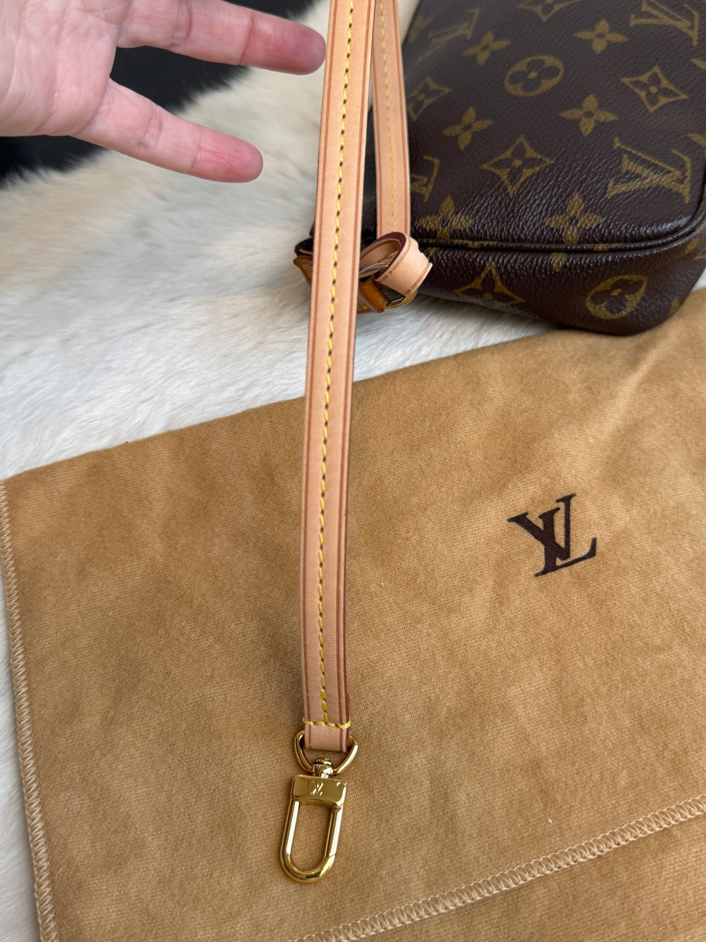 Louis Vuitton Monogram Pochette Accessoires