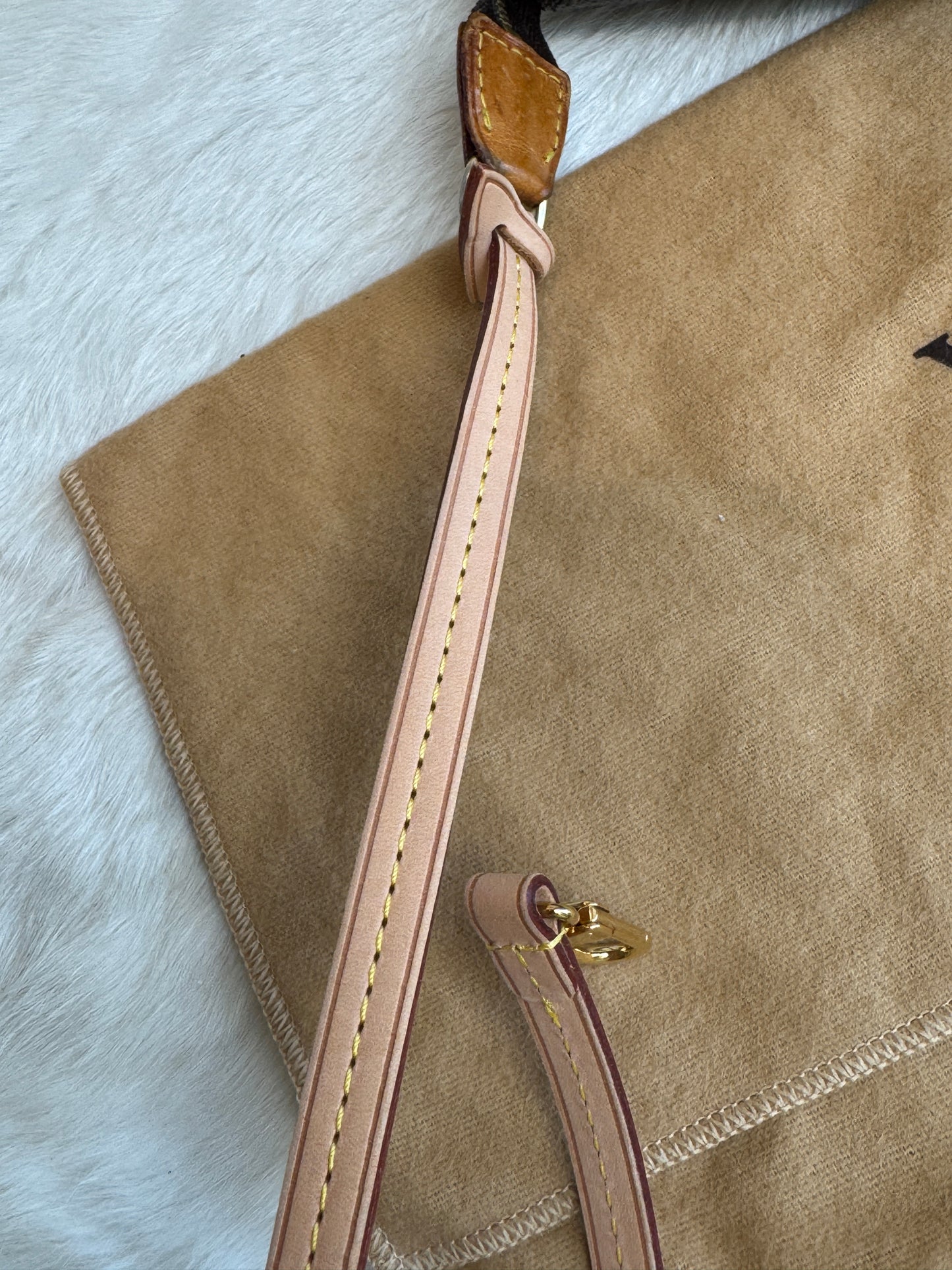 Louis Vuitton Monogram Pochette Accessoires