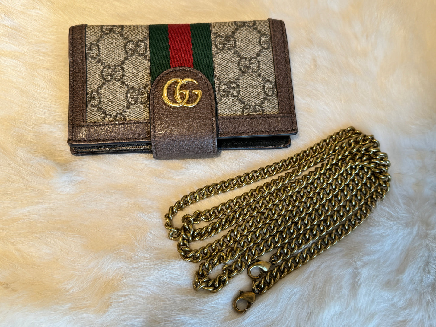 GUCCI Supreme Canvas Ophidia WOC